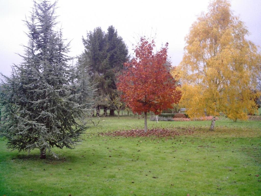 Au Jardin Fleuri Villa Vauxaillon Exterior photo